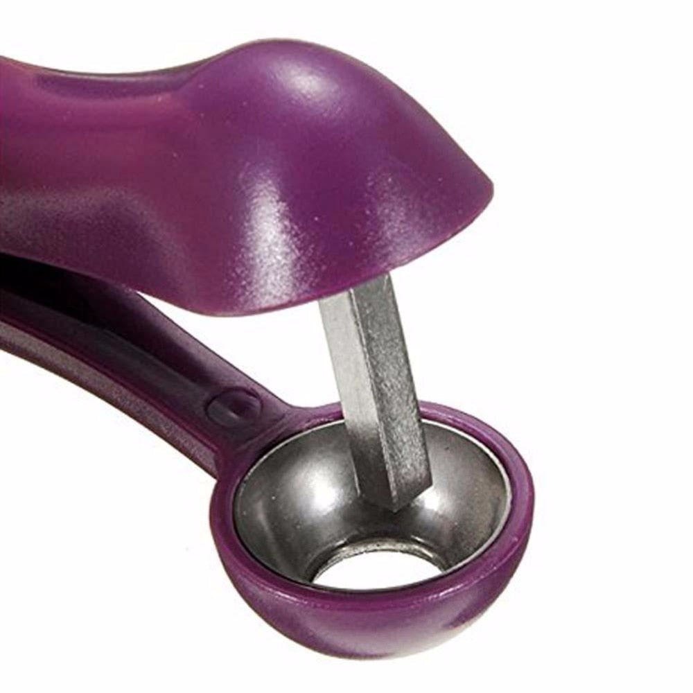 Cherry pitter tool