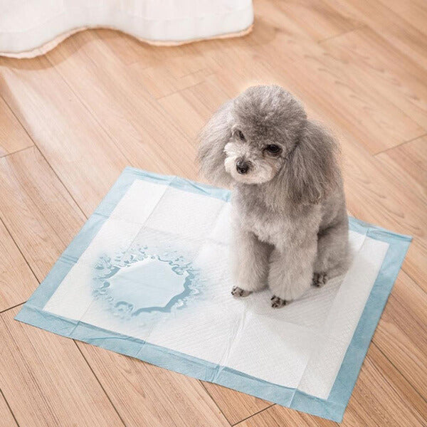 Dog pee pads
