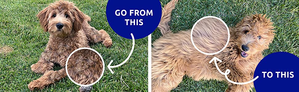 Double-sided Pet Grooming Brush