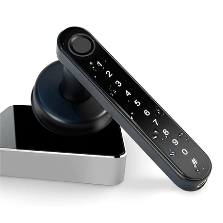 Fingerprint door lock