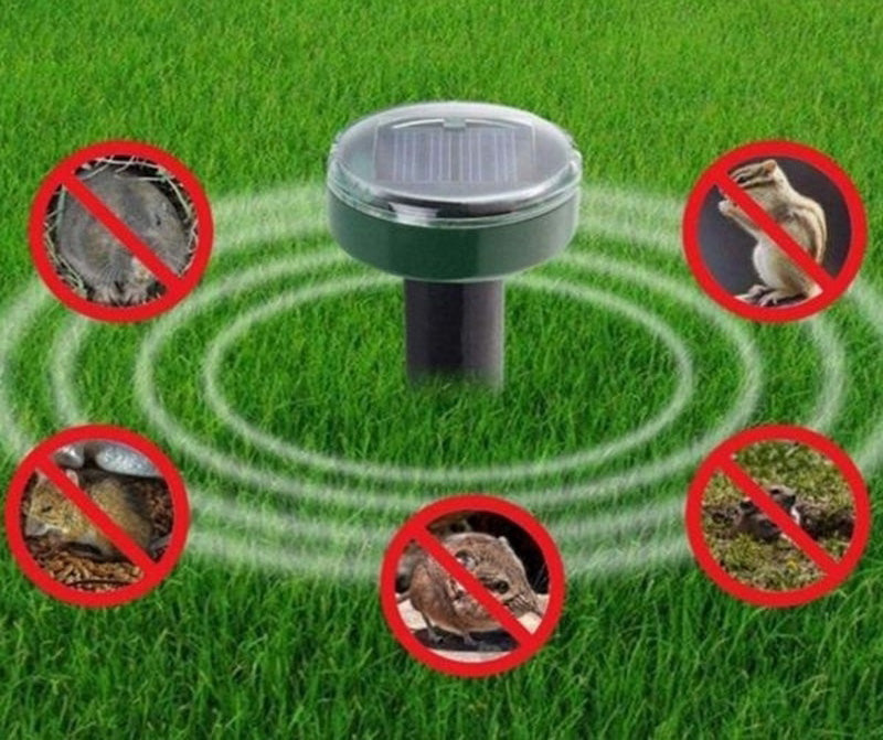 Solar-powered mole repellent