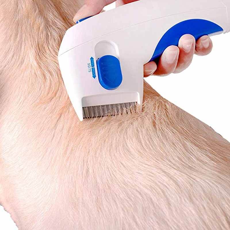 Electric flea remover for pets