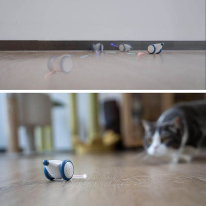Auto-Running Mouse Cat toy