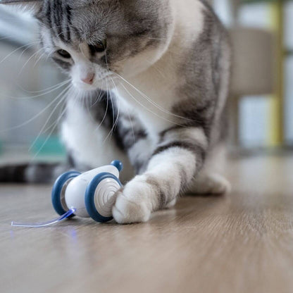 Auto-Running Mouse Cat toy
