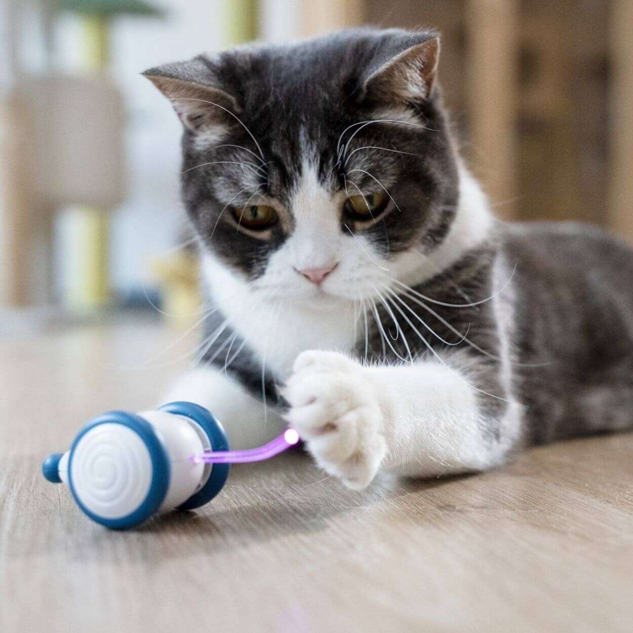Auto-Running Mouse Cat toy