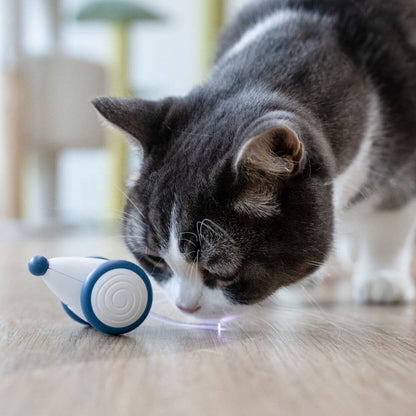 Auto-Running Mouse Cat toy