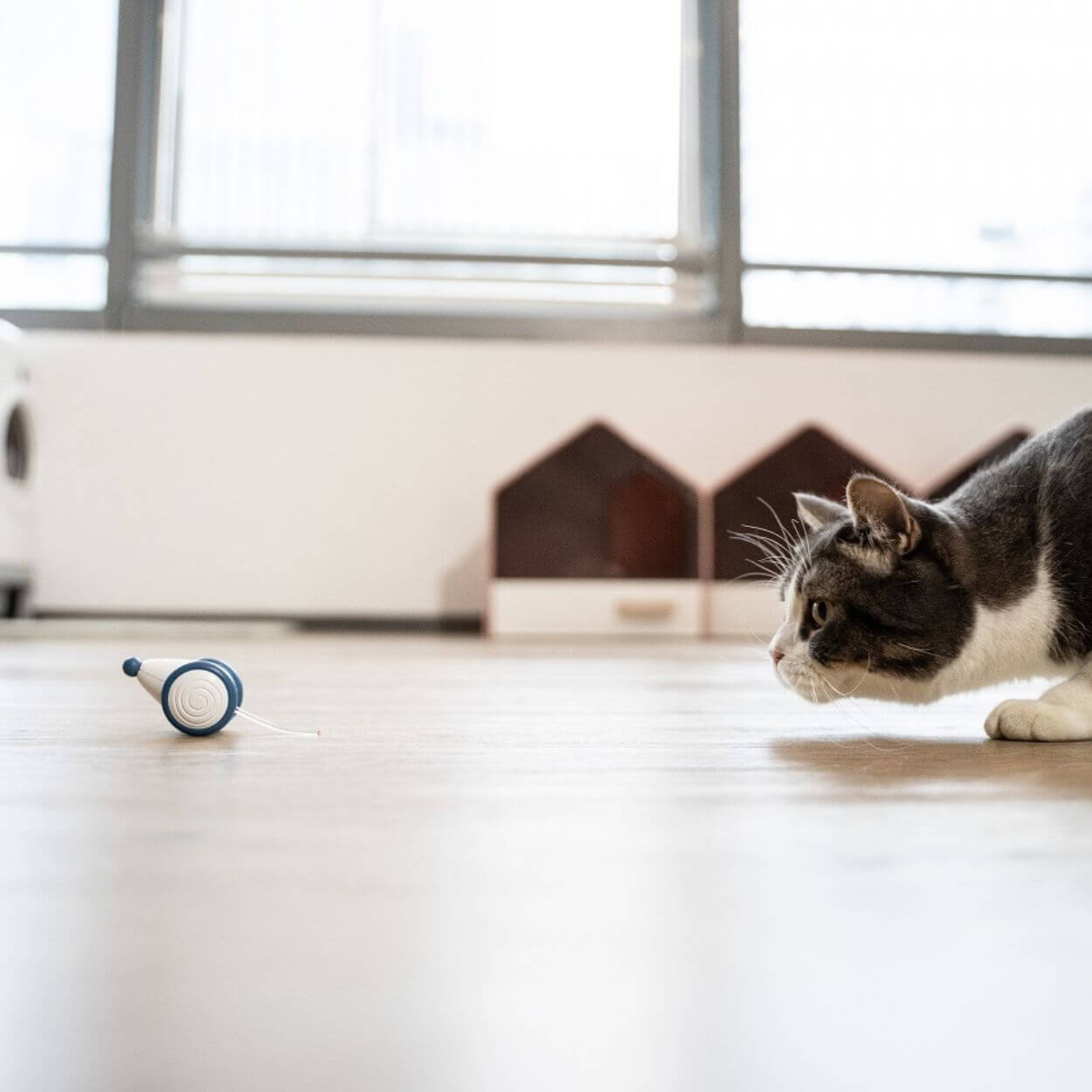 Auto-Running Mouse Cat toy