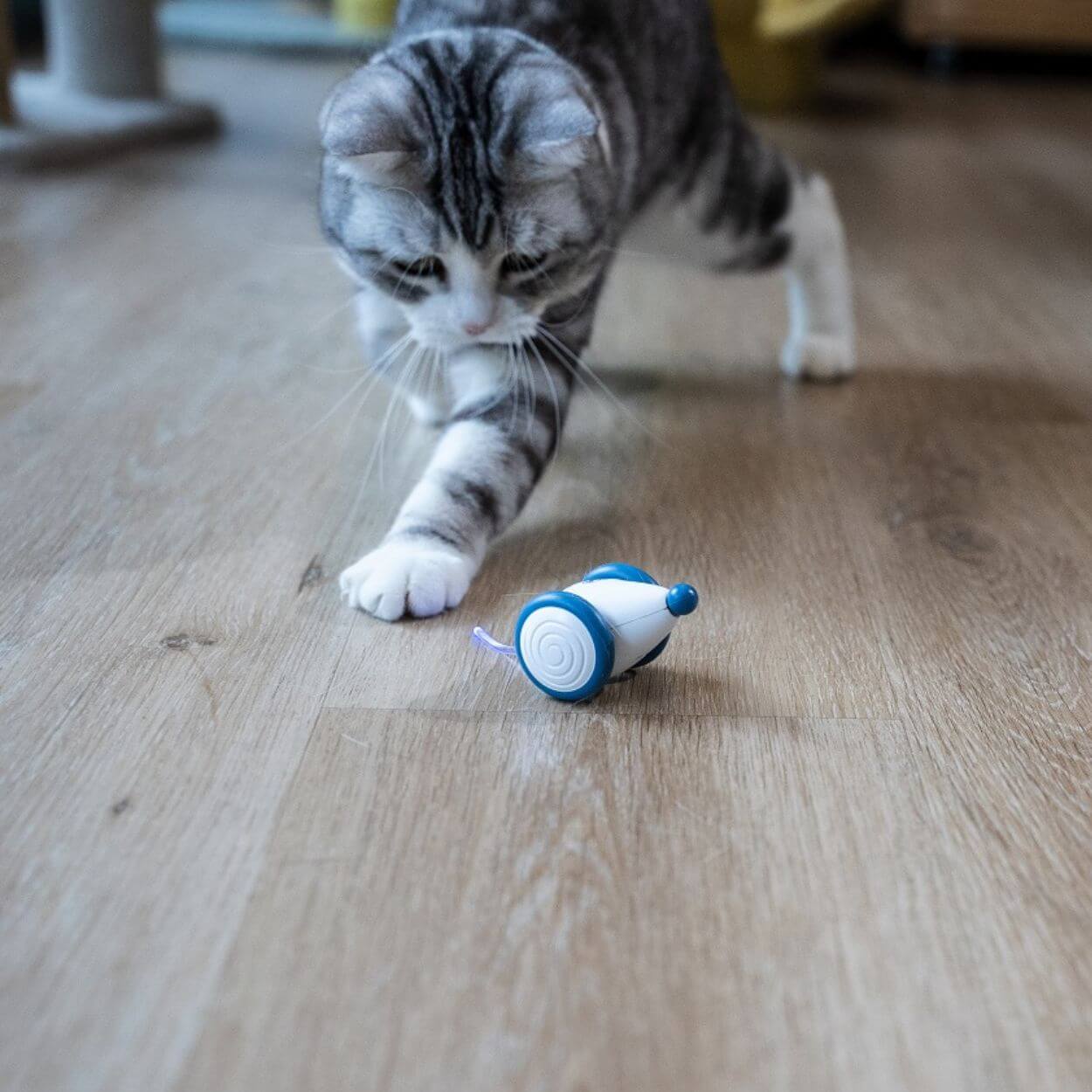 Auto-Running Mouse Cat toy