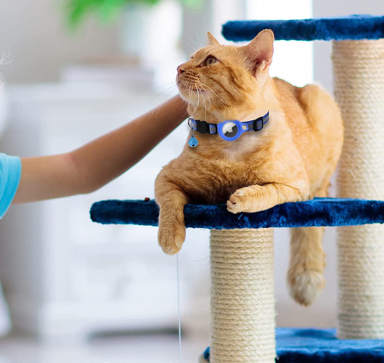 Airtag Collar Holder