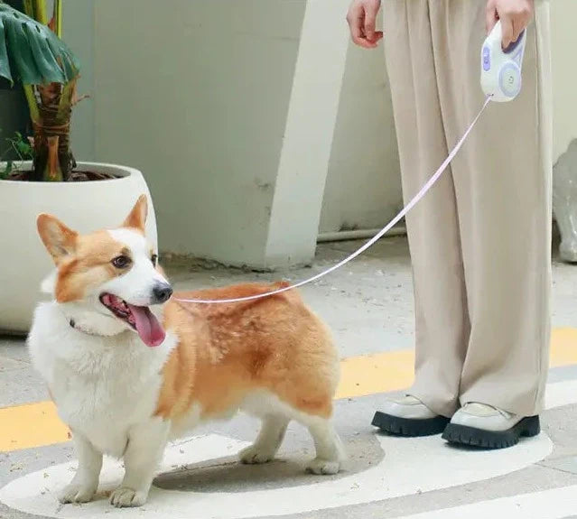 Automatic Extendable LED Pet Belt