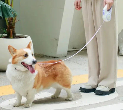 Automatic Extendable LED Pet Belt
