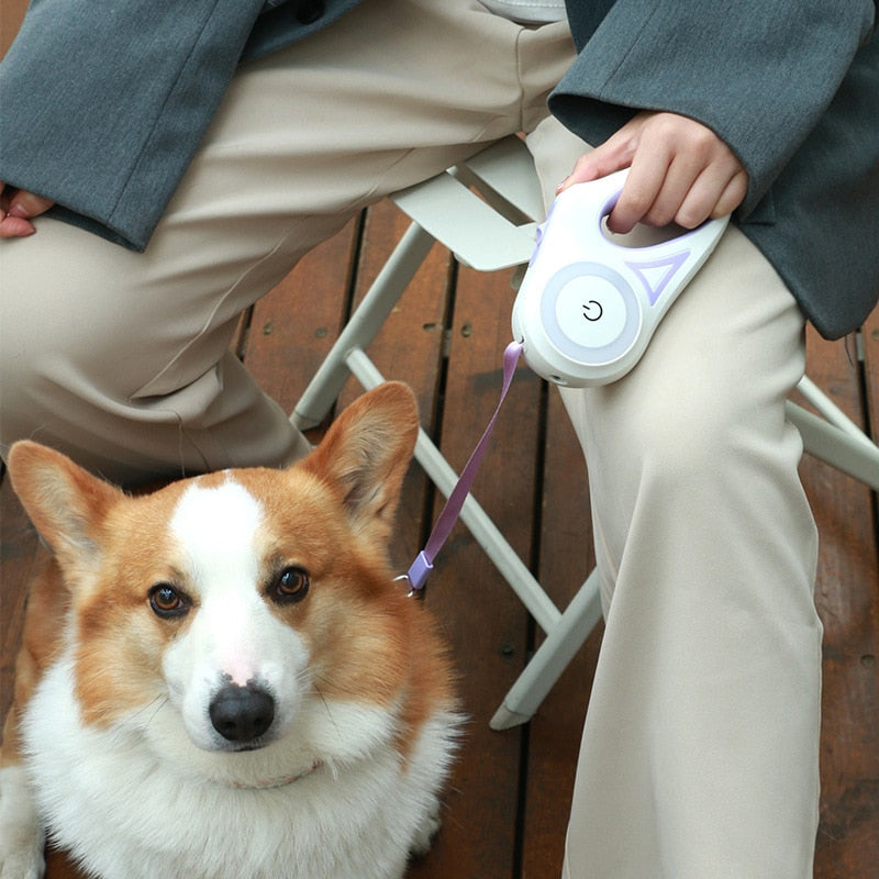Automatic Extendable LED Pet Belt