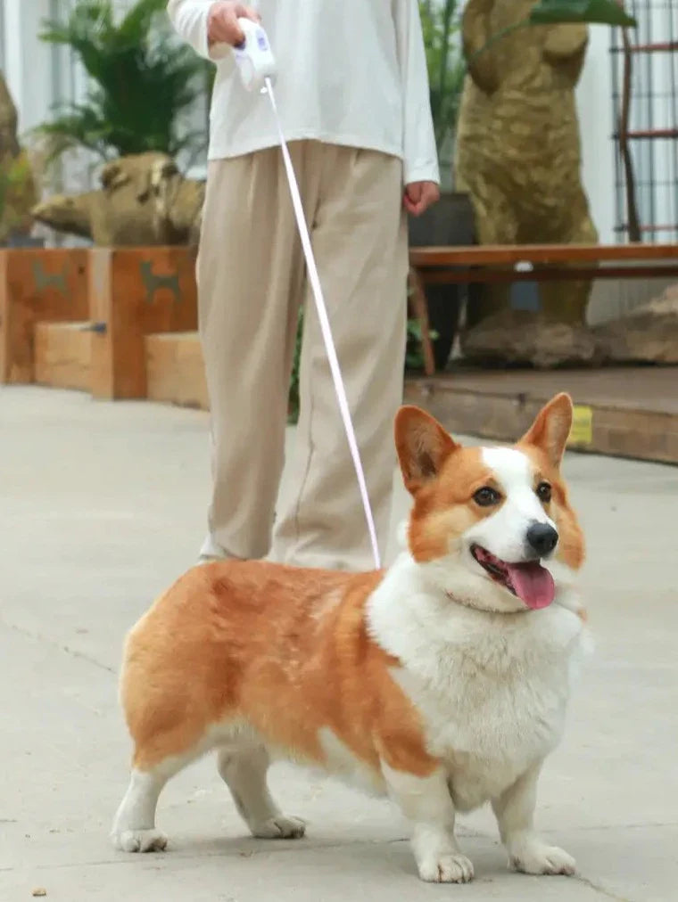 Automatic Extendable LED Pet Belt
