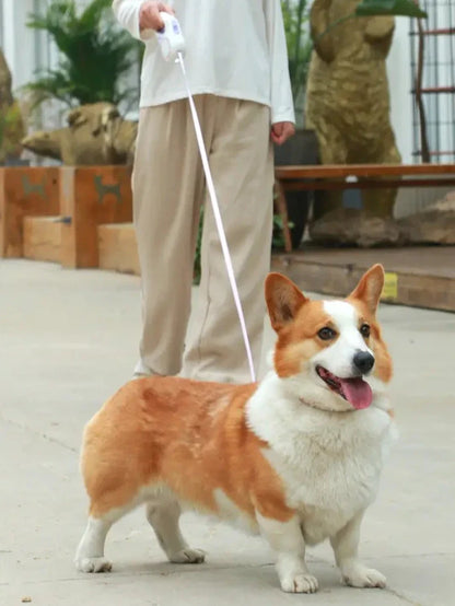 Automatic Extendable LED Pet Belt