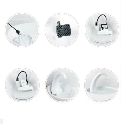 Automatic drinking fountain for cats