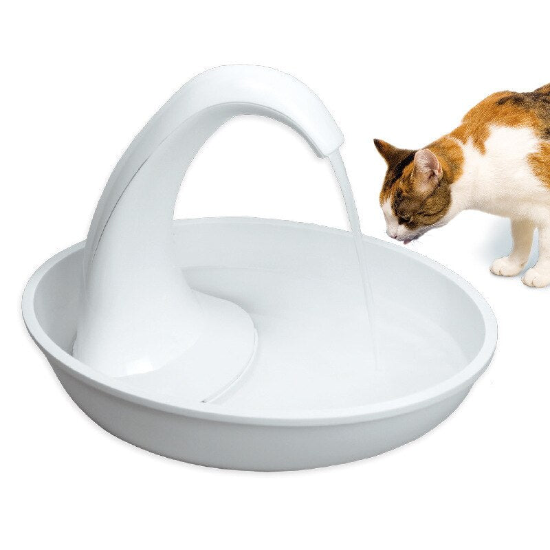 Automatic drinking fountain for cats