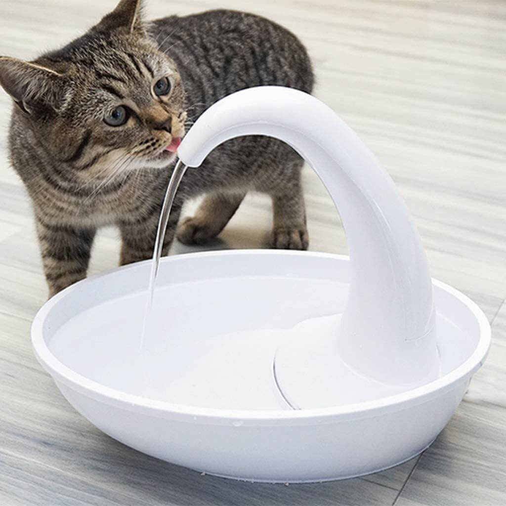 Automatic drinking fountain for cats