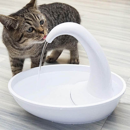 Automatic drinking fountain for cats
