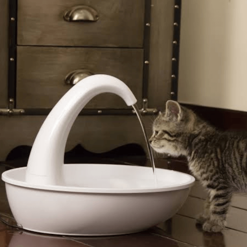 Automatic drinking fountain for cats