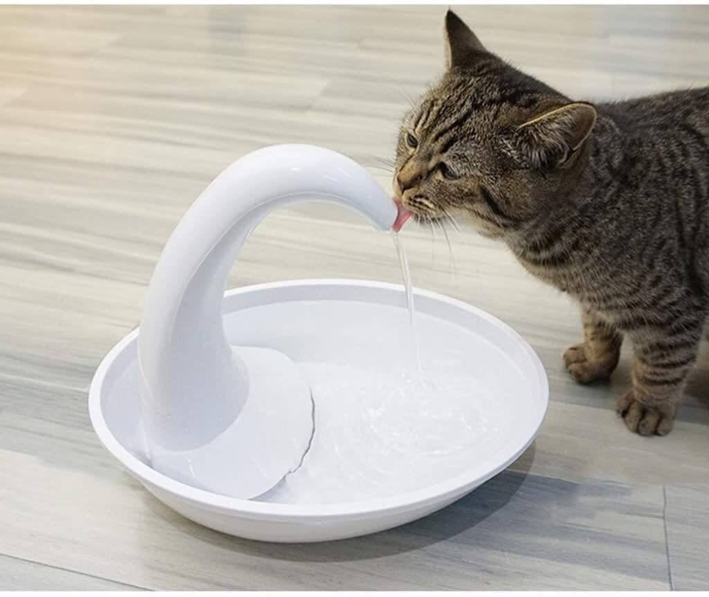 Automatic drinking fountain for cats
