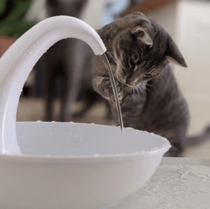 Automatic drinking fountain for cats