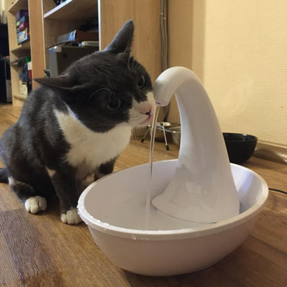 Automatic drinking fountain for cats