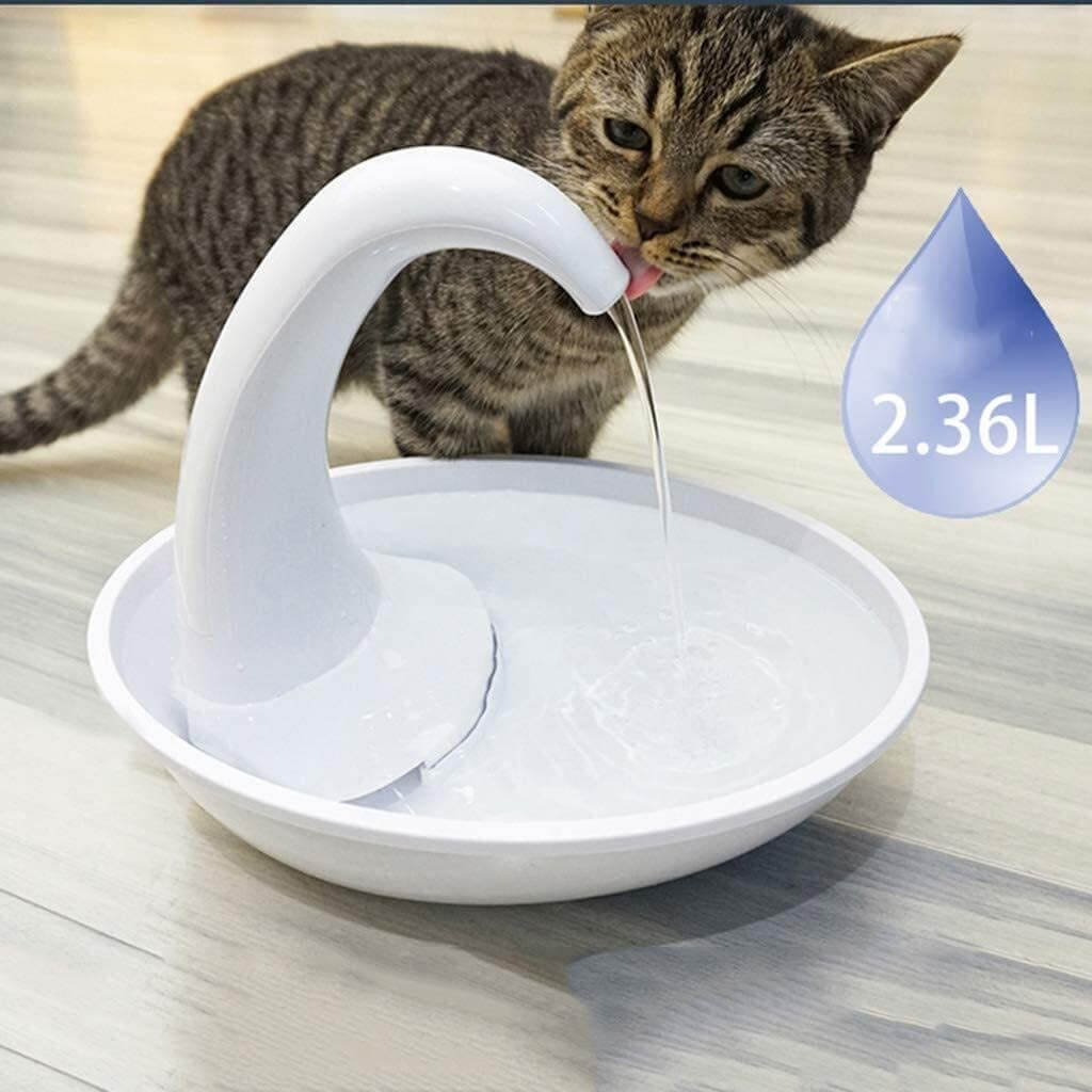 Automatic drinking fountain for cats
