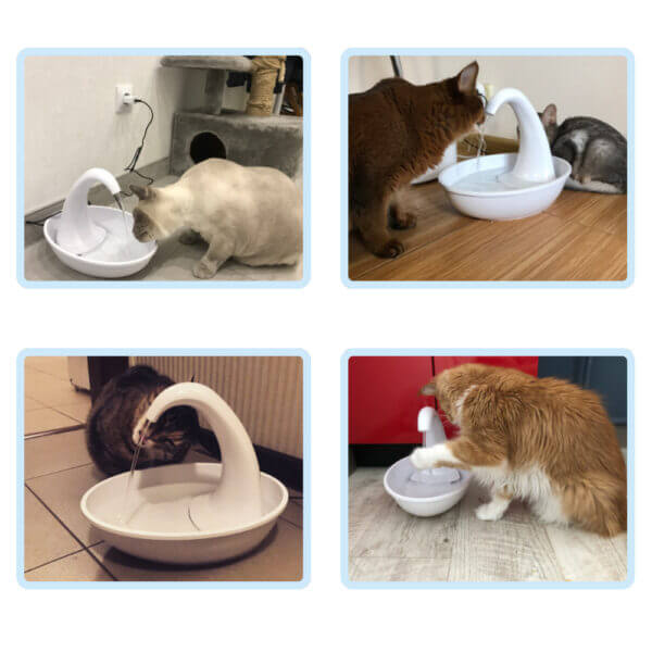 Automatic drinking fountain for cats