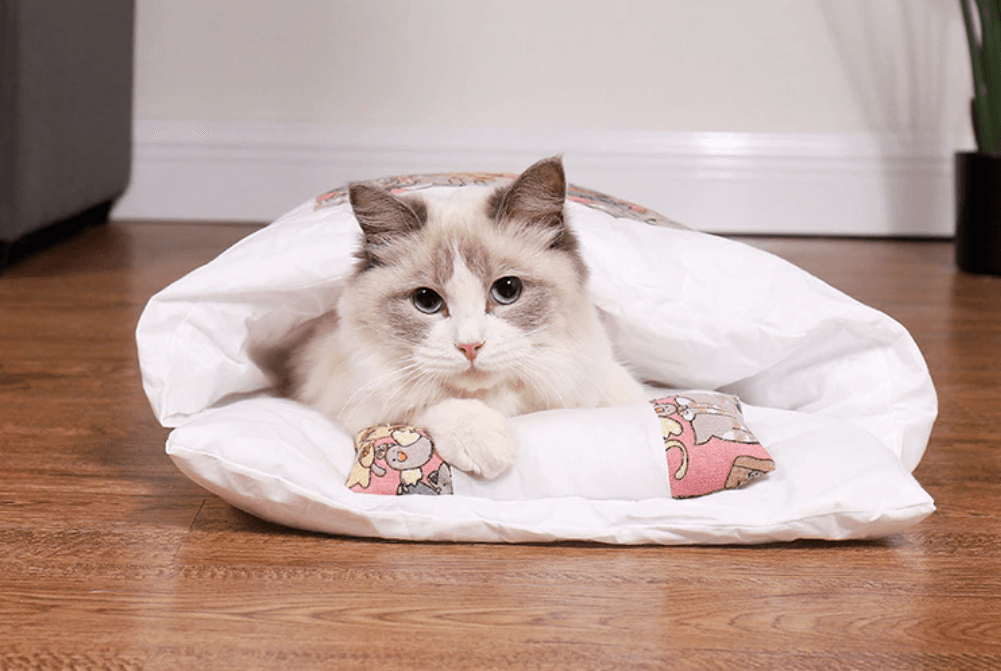 Cat sleeping bag