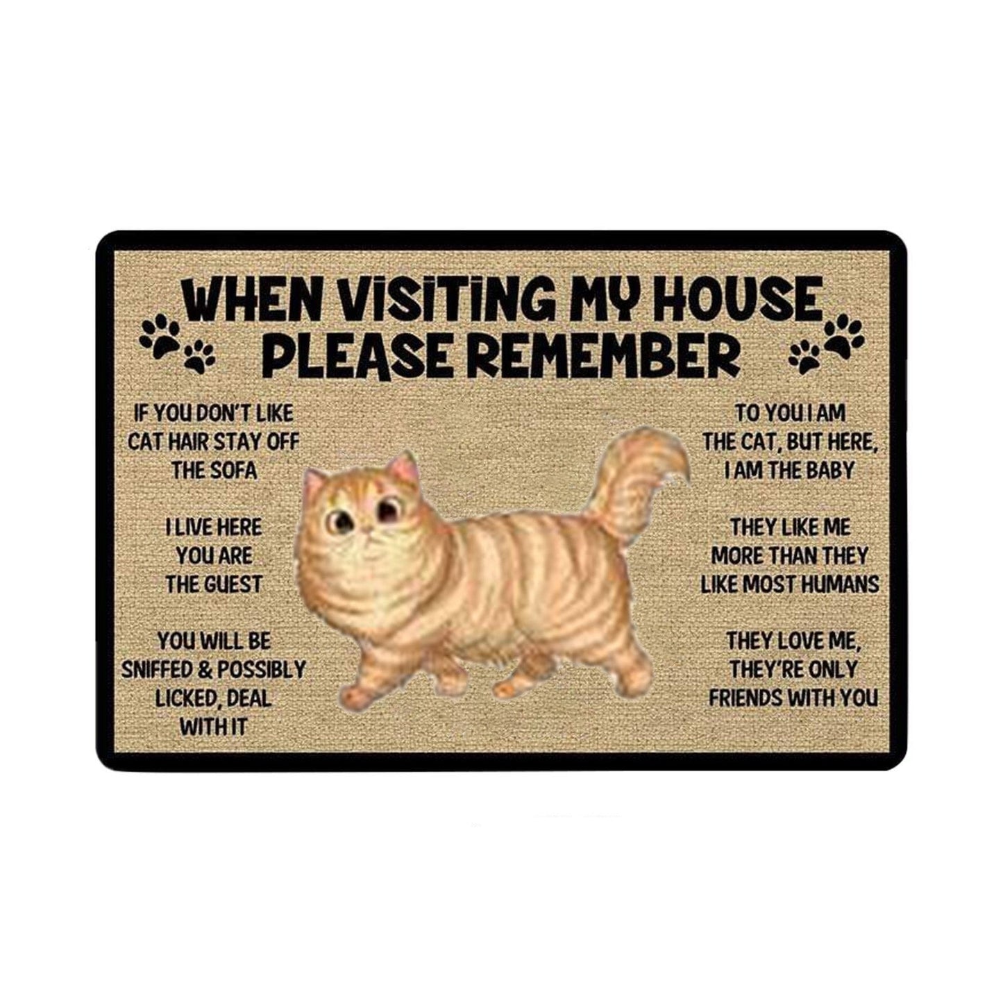 Cat welcome mat