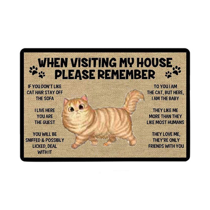Cat welcome mat