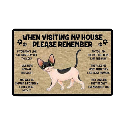 Cat welcome mat