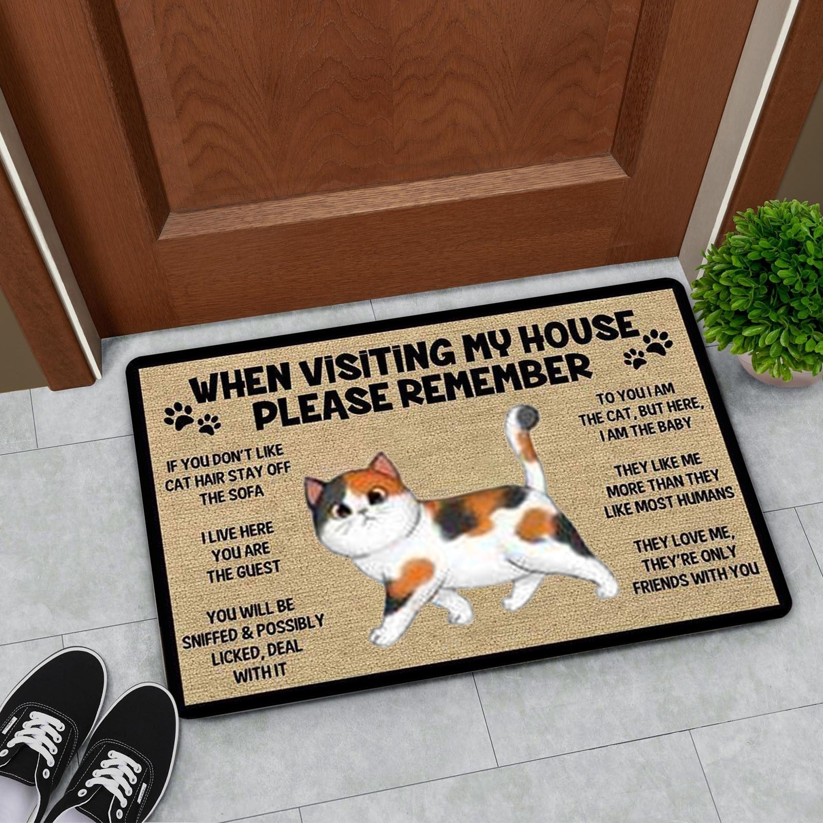 Cat welcome mat