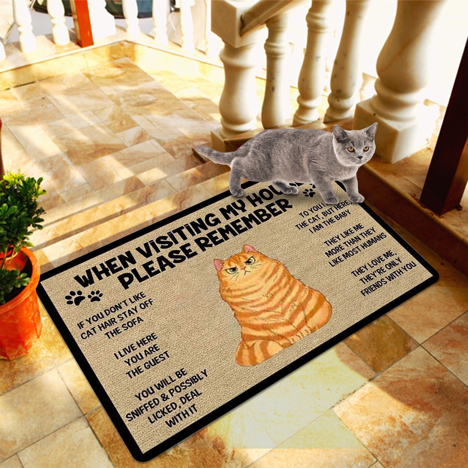 Cat welcome mat