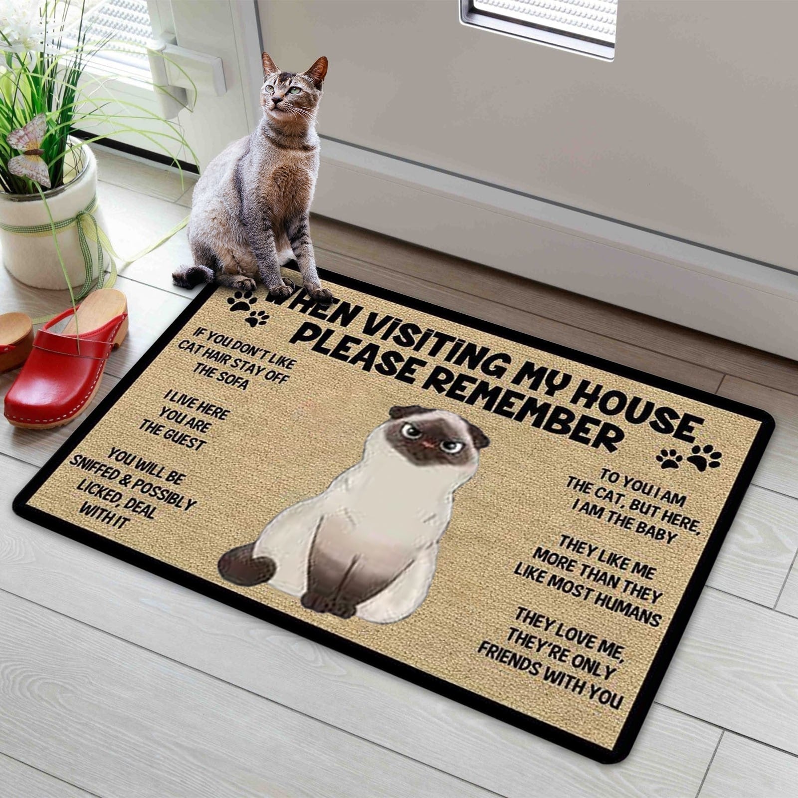 Cat welcome mat