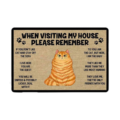 Cat welcome mat