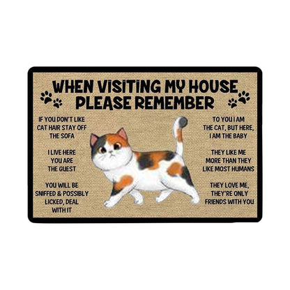 Cat welcome mat
