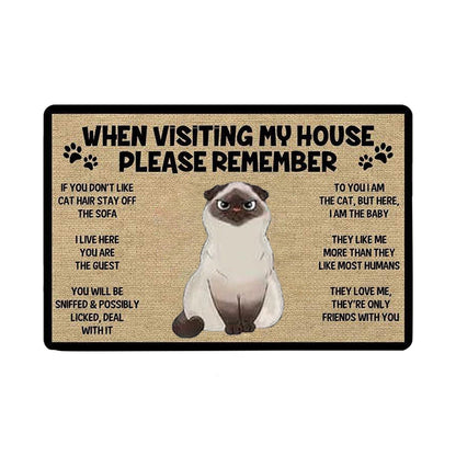 Cat welcome mat