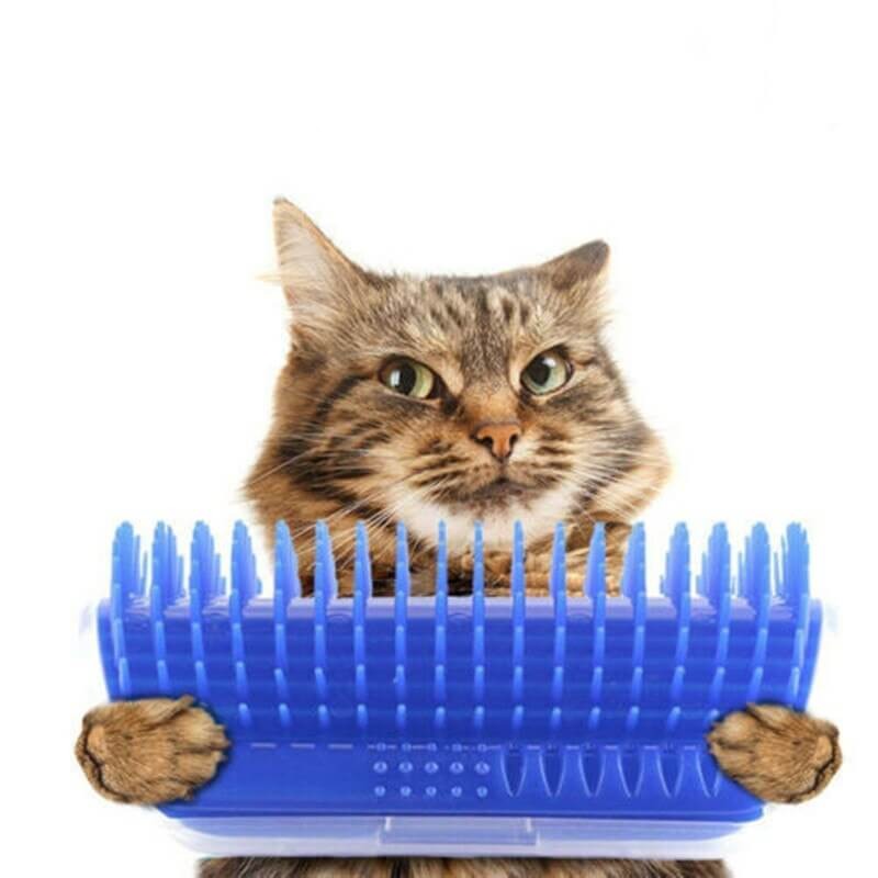 Cat's Corner Groomer