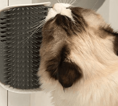Cat's Corner Groomer