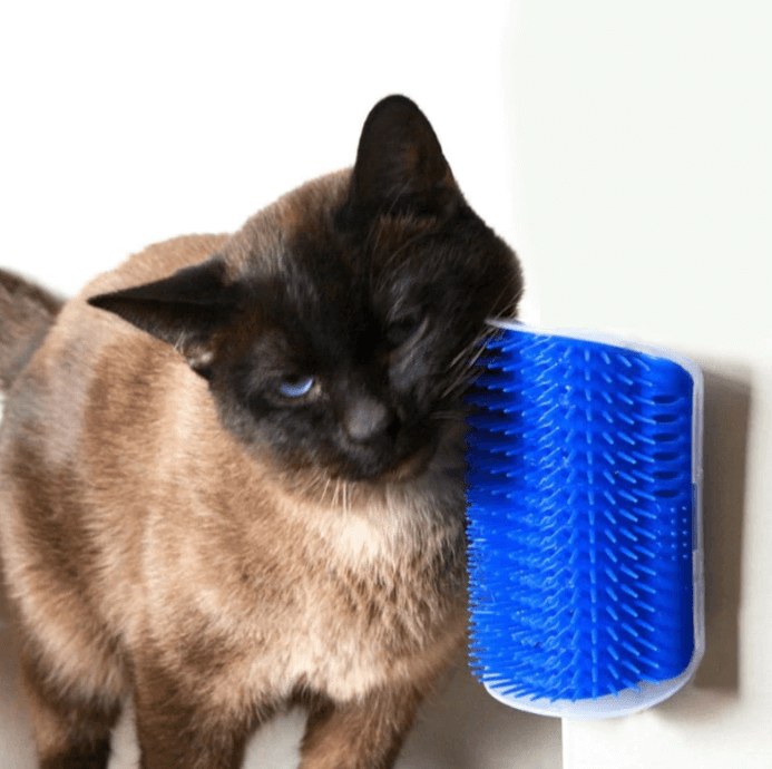 Cat's Corner Groomer
