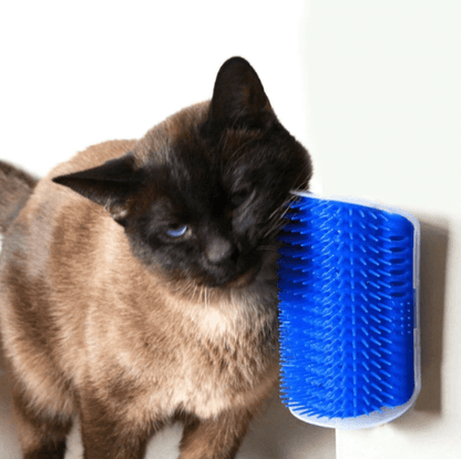 Cat's Corner Groomer