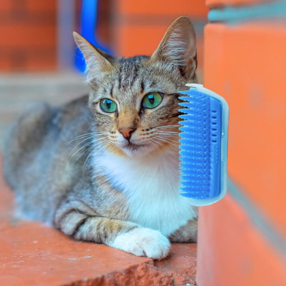 Cat's Corner Groomer
