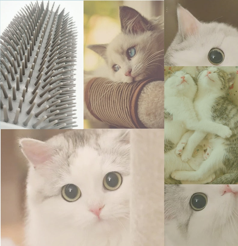 Cat's Corner Groomer