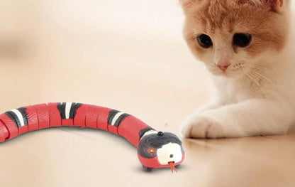 Cat's Smart Interactive Snake Toy