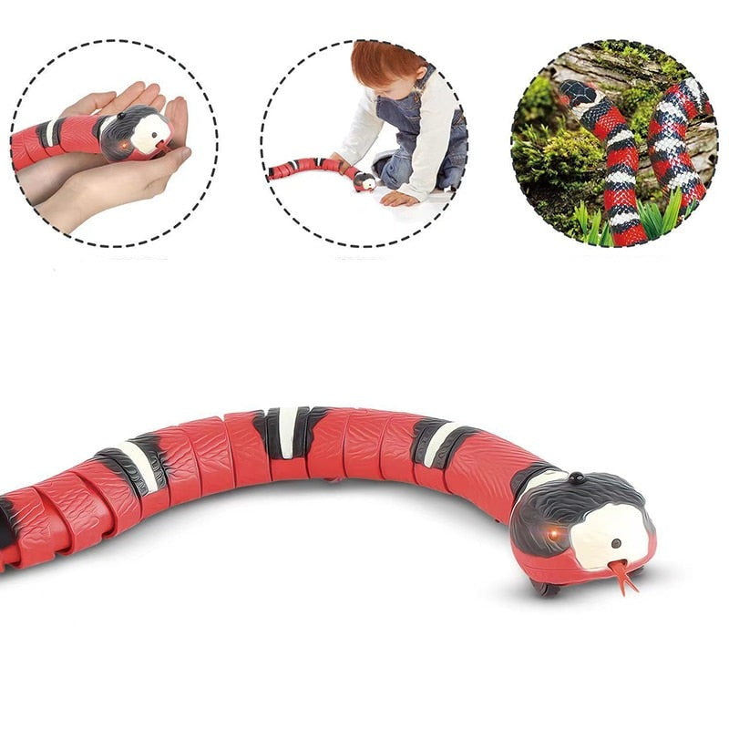 Cat's Smart Interactive Snake Toy