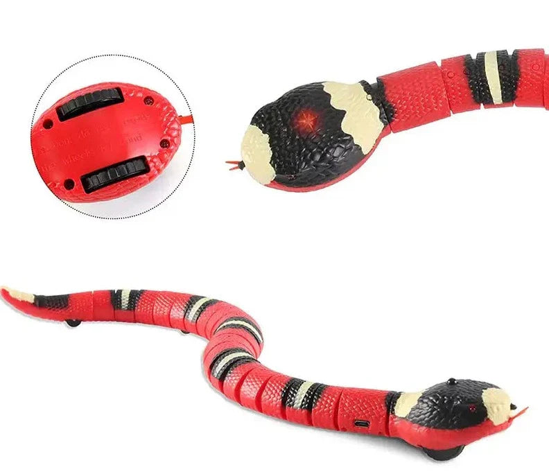 Cat's Smart Interactive Snake Toy