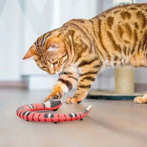 Cat's Smart Interactive Snake Toy