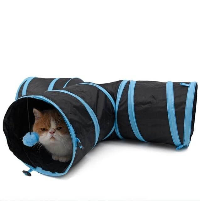 Collapsible cat tunnel