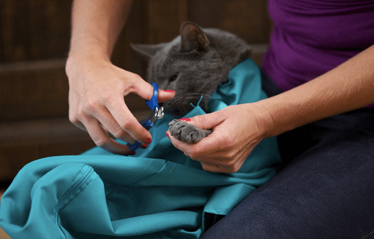 Comfy Cat Travel Pouch